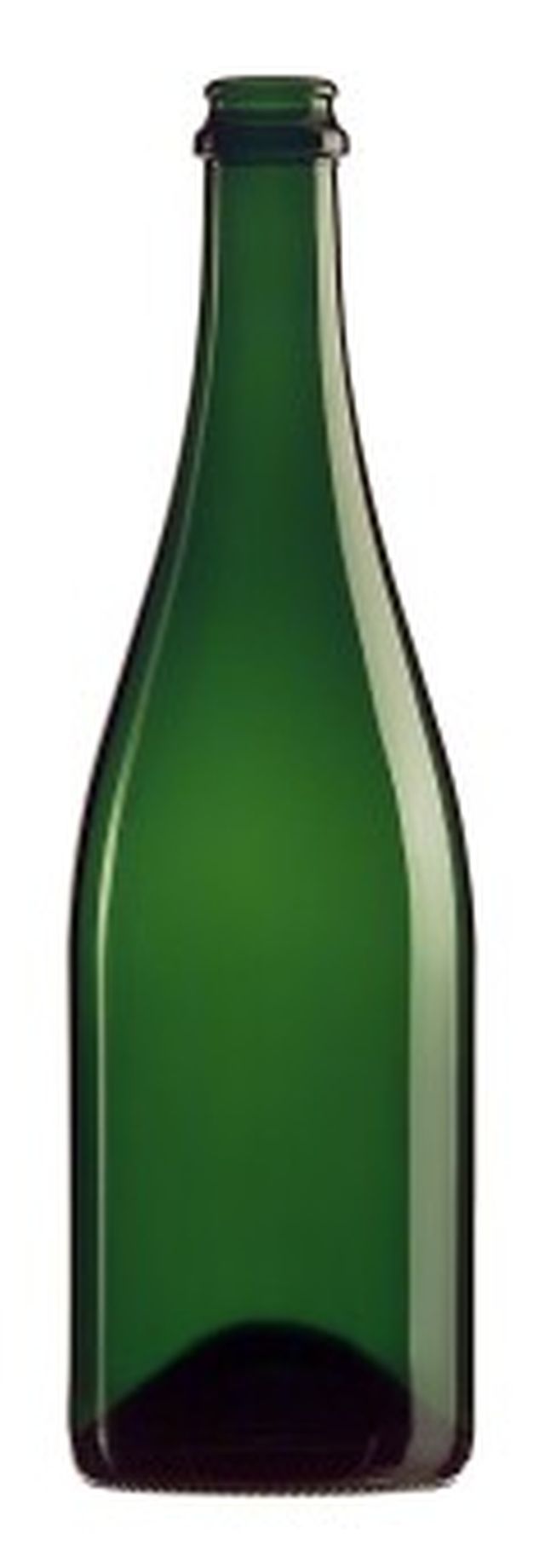 Standard Wine Bottles - 6